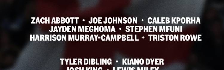 英格兰队欧青赛名单：迪布林、里格、惠特利在列，切尔西3人