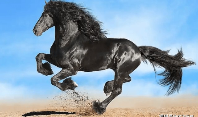 大巴黎遇“敦刻尔克大撤退”？法乙黑马想用铁桶阵“炸航母”